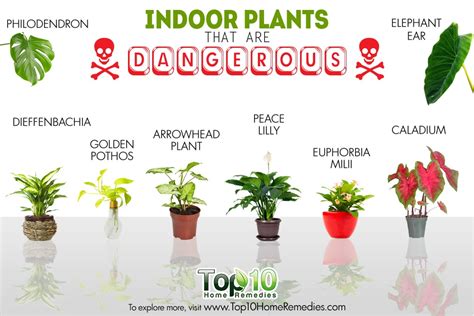 are fake plants bad for your health